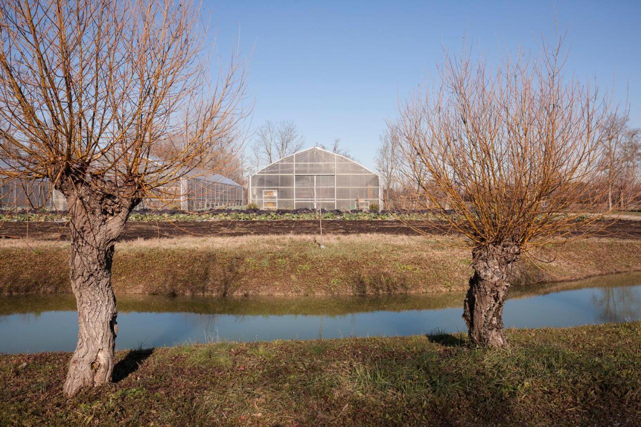 Casa Di Anna - Fattoria Sociale Alojamento de Turismo Rural Mestre
